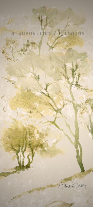 ARBOLES CERRO SAN CRISTOBAL / Santiago de Chile