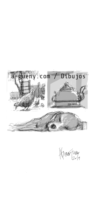 GALLINA TETERA PERRO